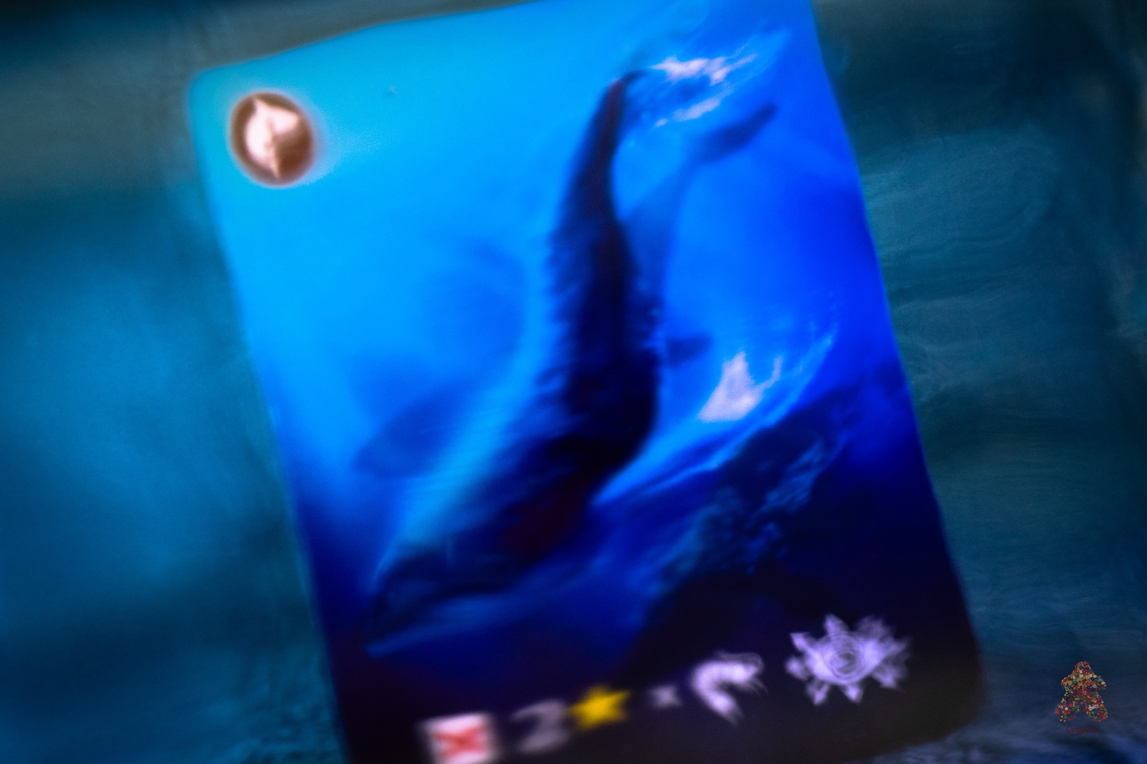 Ekosystem 2 - wieloryb pod wodą